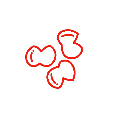 MOLLEJA