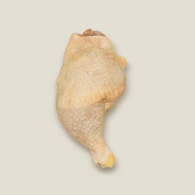 PATA MUSLO